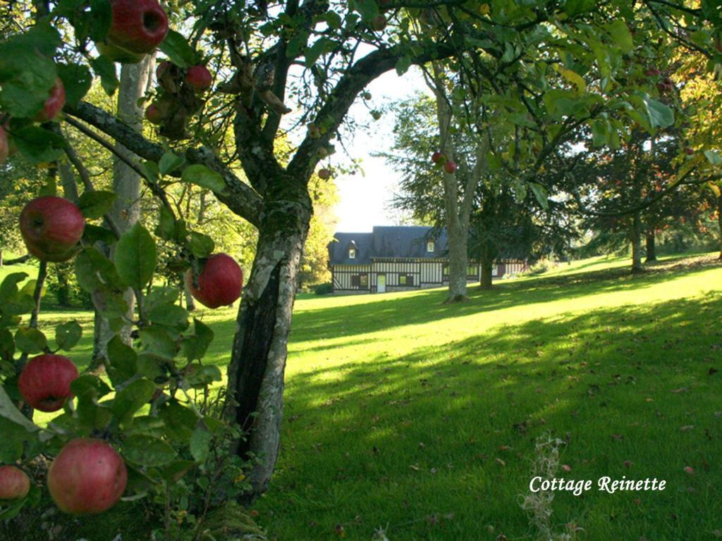 Les Fermes De Florence Bien Etre Et Nature Les Champeaux Værelse billede